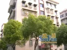 诚意出售,近地铁,张江科学城,楼层好,使用面积大