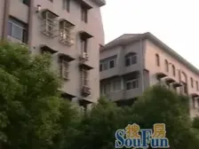 张江孙桥公寓.商品房,横厅大三房,带车库,双阳台