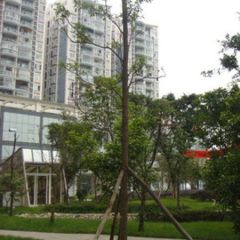 澳林春天 3室1厅 东北