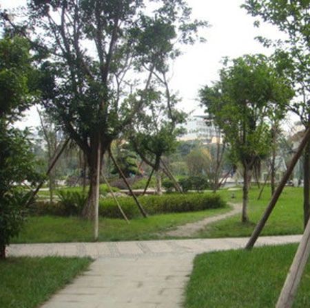 小区相关图