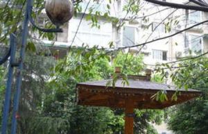 吉馨苑2室1厅东