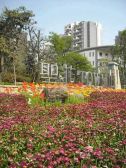 蓝光圣菲TOWN城3室1厅东南
