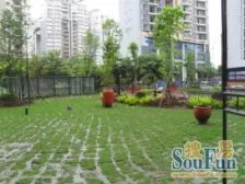 黄泥磅 奔力绿色空间二房65万