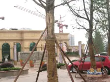 伯爵世家2室:轻轨旁次新小区 户型方正 配套成熟