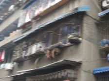 九里堤北路42号院1室1厅东南南