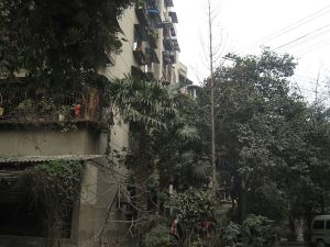 九里堤北路42号院2室1厅东南