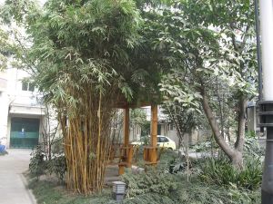 九里阳光2室1厅东南