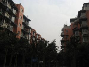 亲水美居3室1厅东南