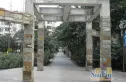 天彩菁华实景图