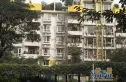 天彩菁华实景图