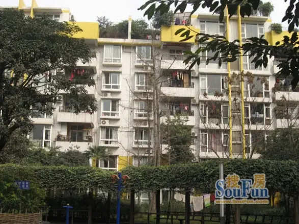 天彩菁华实景图