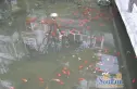 天彩菁华实景图