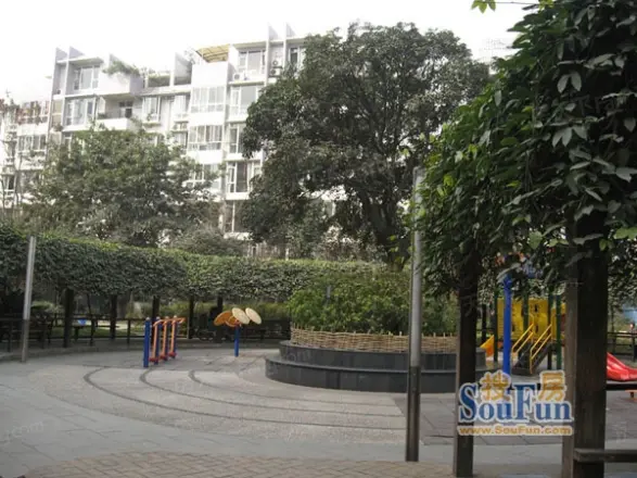 天彩菁华实景图