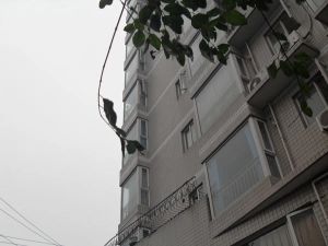 贝多小屋1室1厅44.94平米