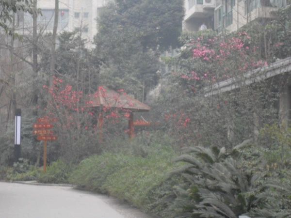 小区相关图