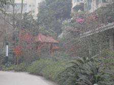 和睦人家三期4室1厅西南东北