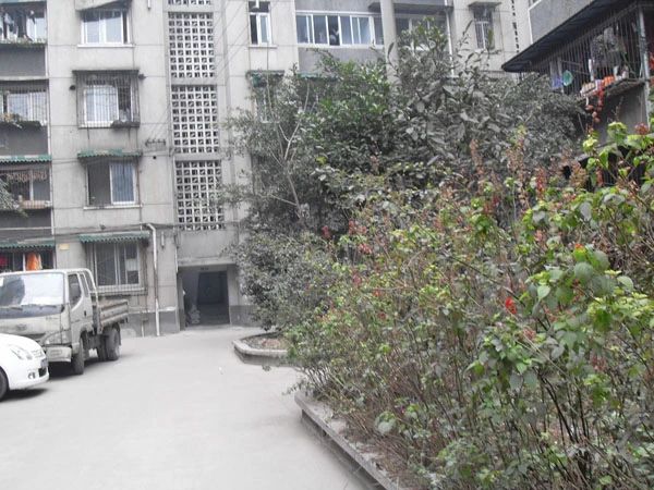 小区相关图