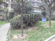华西园4室2厅东南
