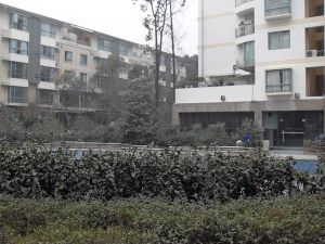 金府路6号5室3厅东南
