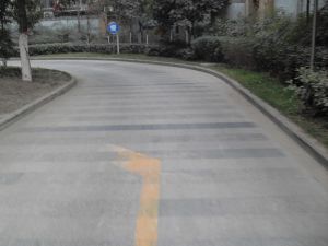 金府路6号 2室2厅 东南