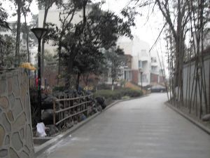 金府路6号5室1厅东南