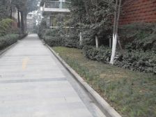 金府路6号 5室3厅 南 北