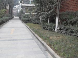 金府路6号5室3厅南北