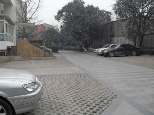 金府路6号3室1厅东南