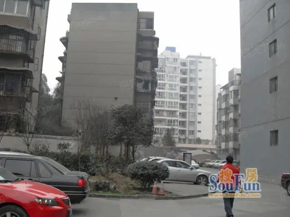 锦江岸实景图
