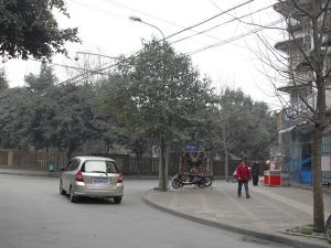 劲草园2室1厅东南
