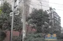 维达北苑实景图