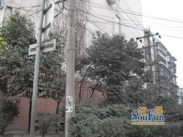 维达北苑实景图