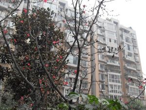 阳光嘉苑3室1厅东南