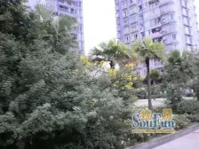 小什字 南国丽景四房200万