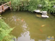 鱼洞 香林华府(巴南)二房54万