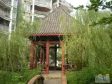 户型方正 采光好 业主诚心卖 近江边 配套齐全