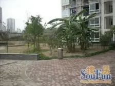 大坪 帝豪蓝钻二房51万