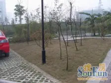 帝豪蓝钻 1室0厅 东南