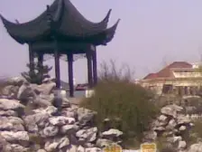 泗泾颐景园 5室2厅 东 东南