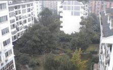 金房苑琴园7室2厅南