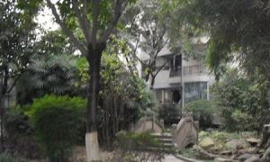 金房苑琴园3室2厅南