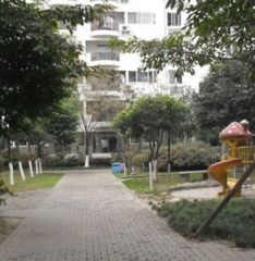 金房苑琴园3室2厅东南