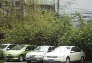 都市人家一期2室2厅东南