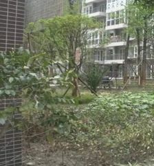 美好时光 3室1厅 东