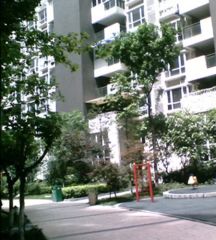 美好时光 3室1厅 东南