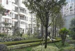 美好时光3室2厅东南
