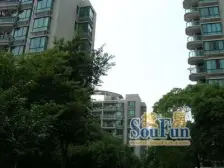 运营总已实勘-业主诚意出售-天鹅湖小区-值得品鉴