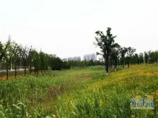 水秀苑 5室2厅 南