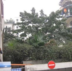 西祥公寓1室1厅南北