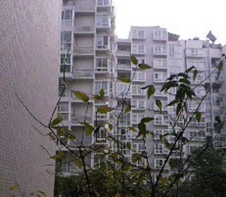 启明西苑实景图